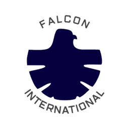 Falcon - Technology Solutions Partner